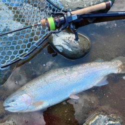 朝は爆風、午後は穏やか ～天竜川ルアーフライ専用区～